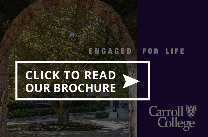 Estate Giving Brochure