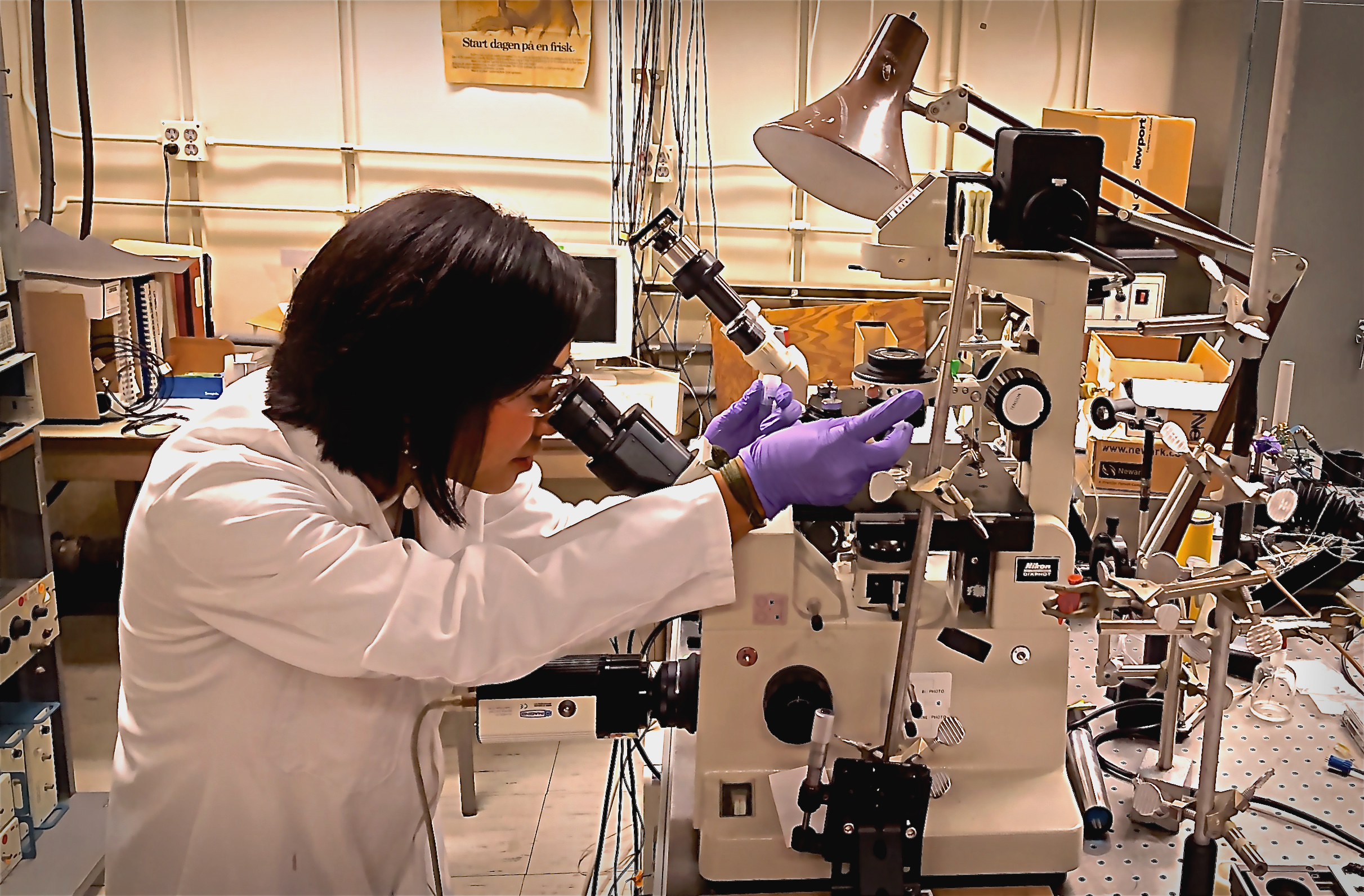 Victoria Kong Working in the Lab