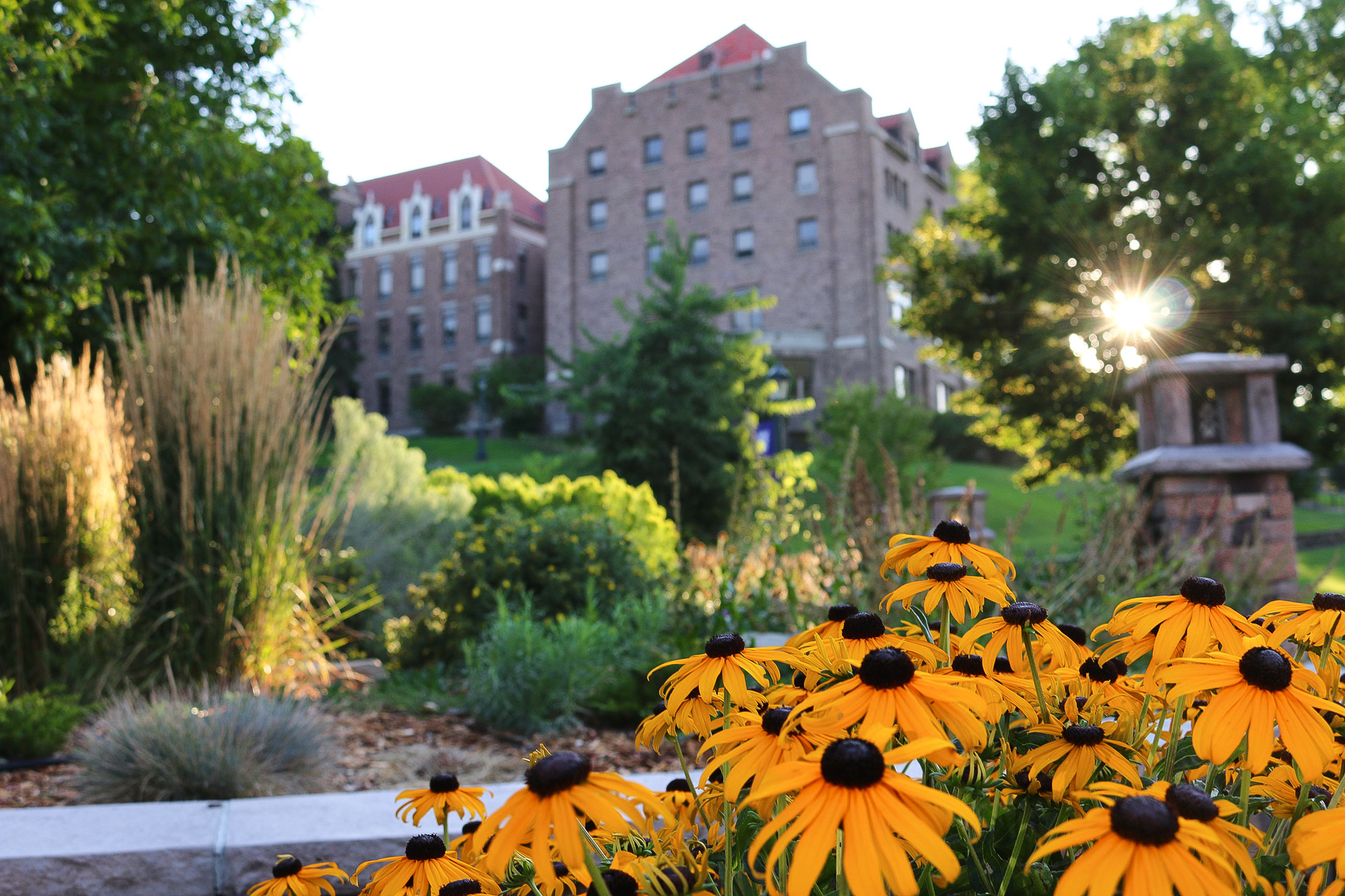 St. Charles with flowers in the foreground