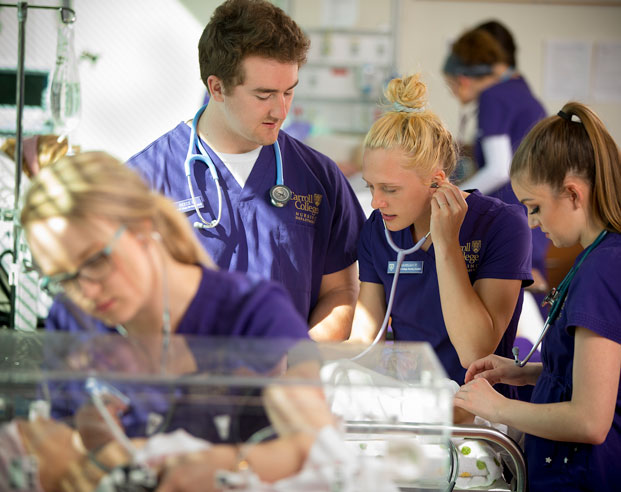 Nursing at Carroll College