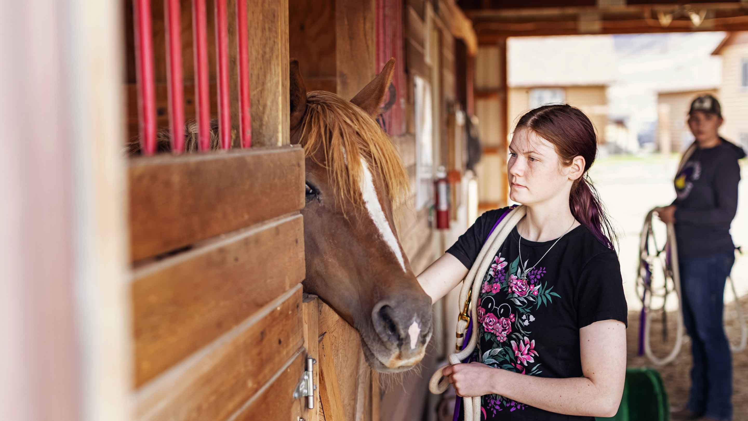 Pre-Veterinary Medicine