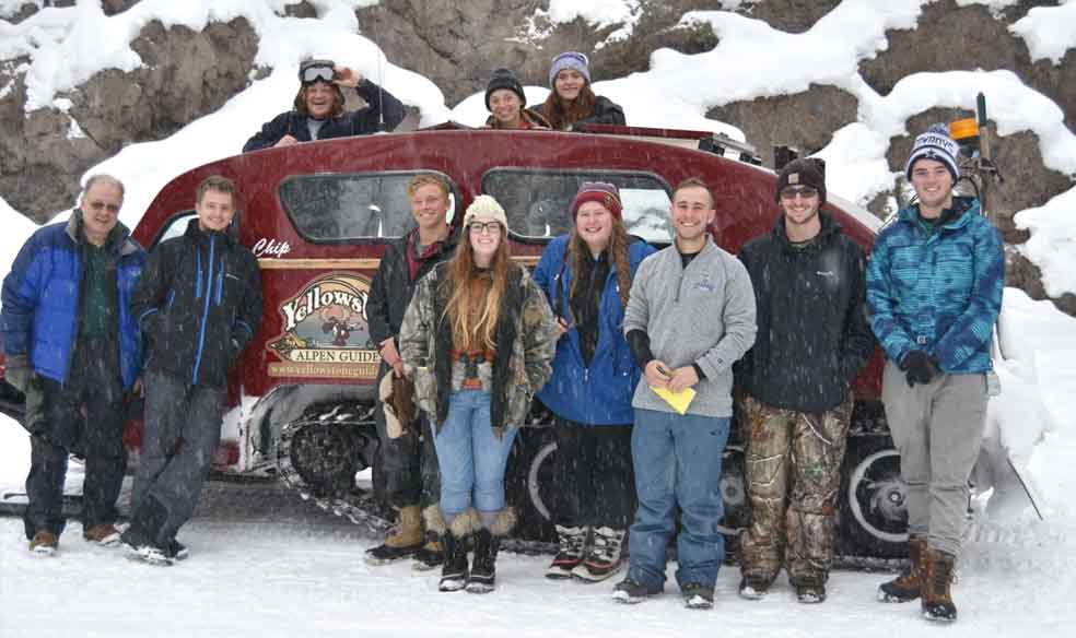 Ecology in Yellowstone