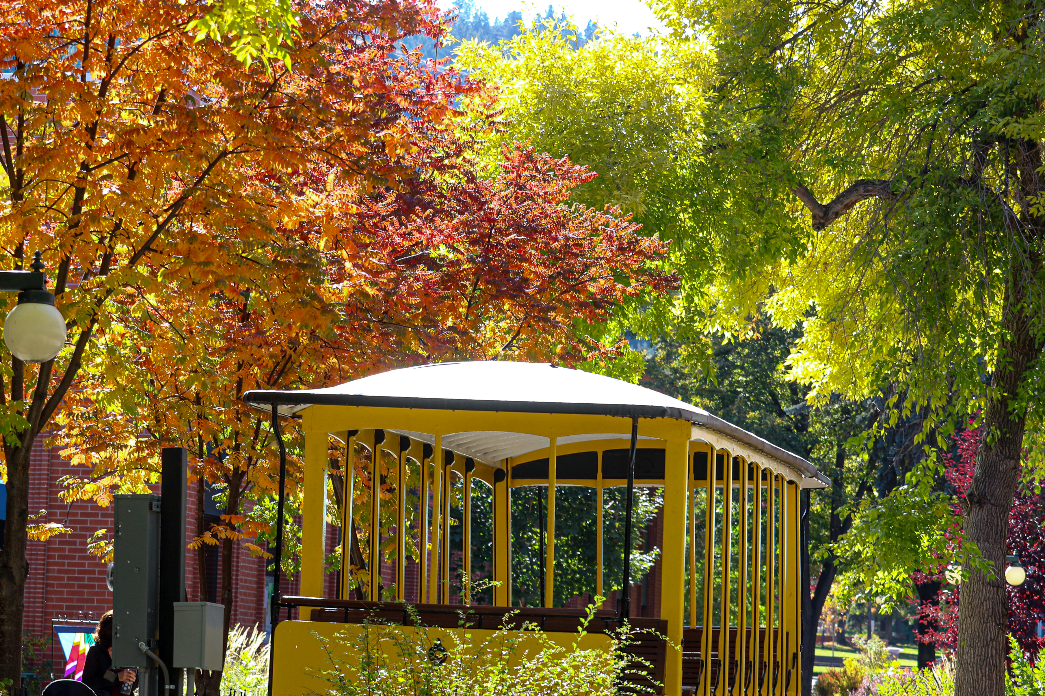 Downtown Trolly