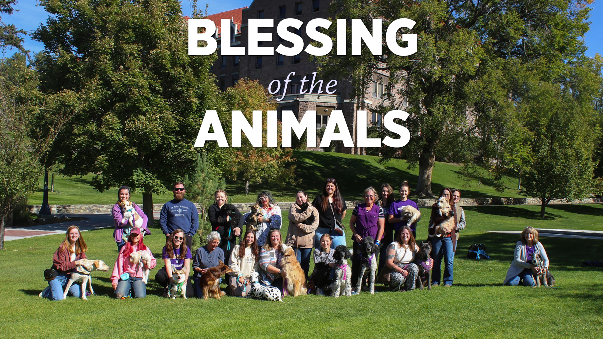 Blessing of the Animals