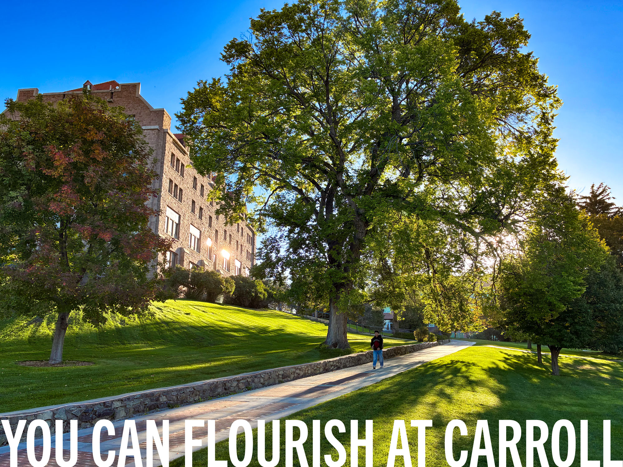 You Can Flourish At Carroll