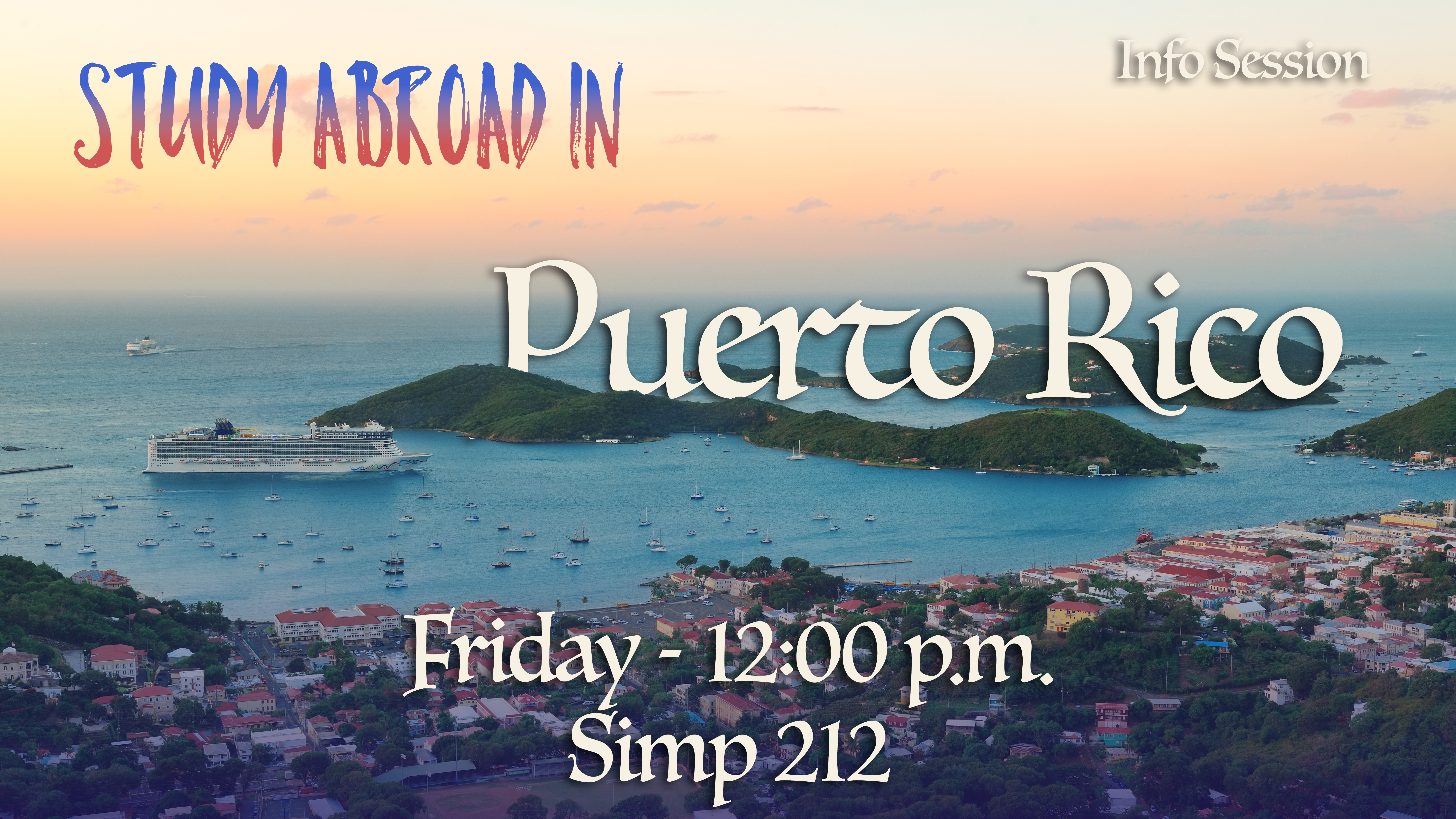 Language, Culture, and Healthcare in Puerto Rico