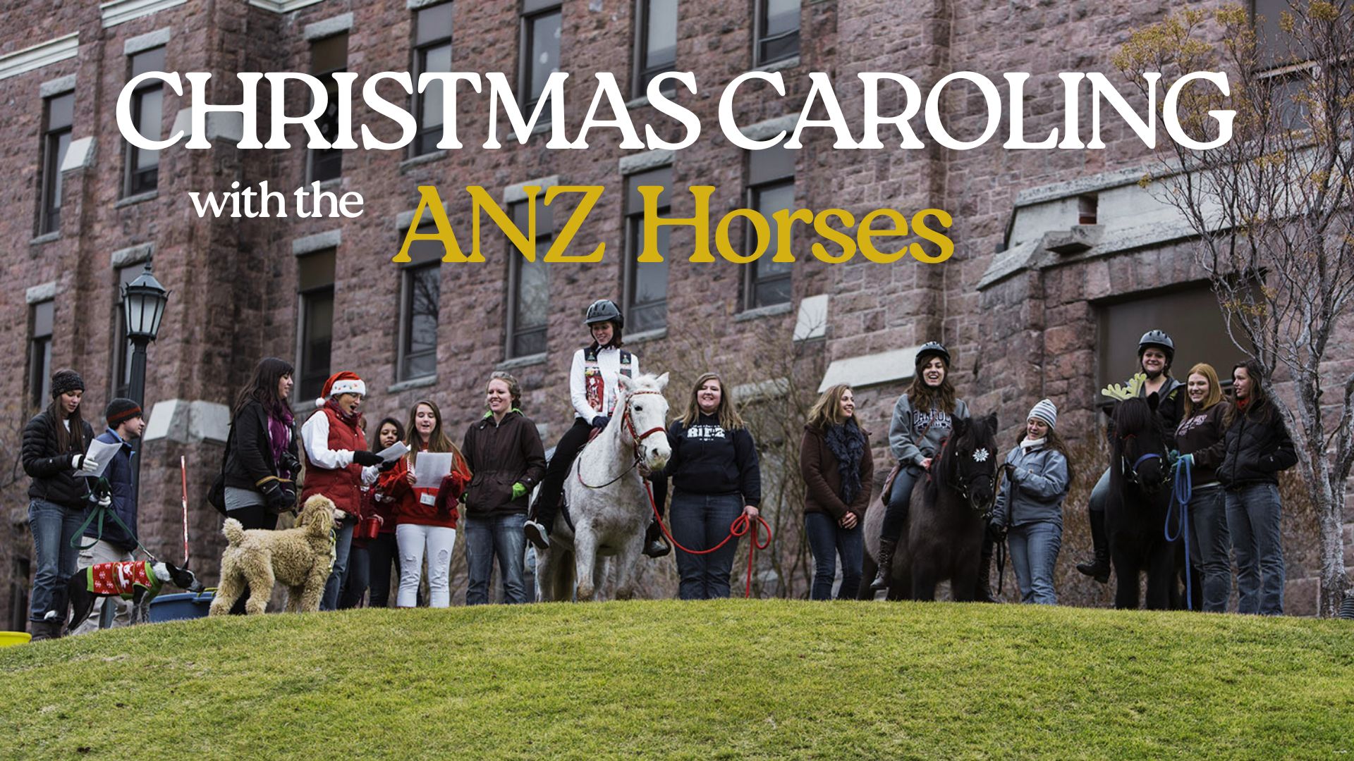 Caroling with Horses