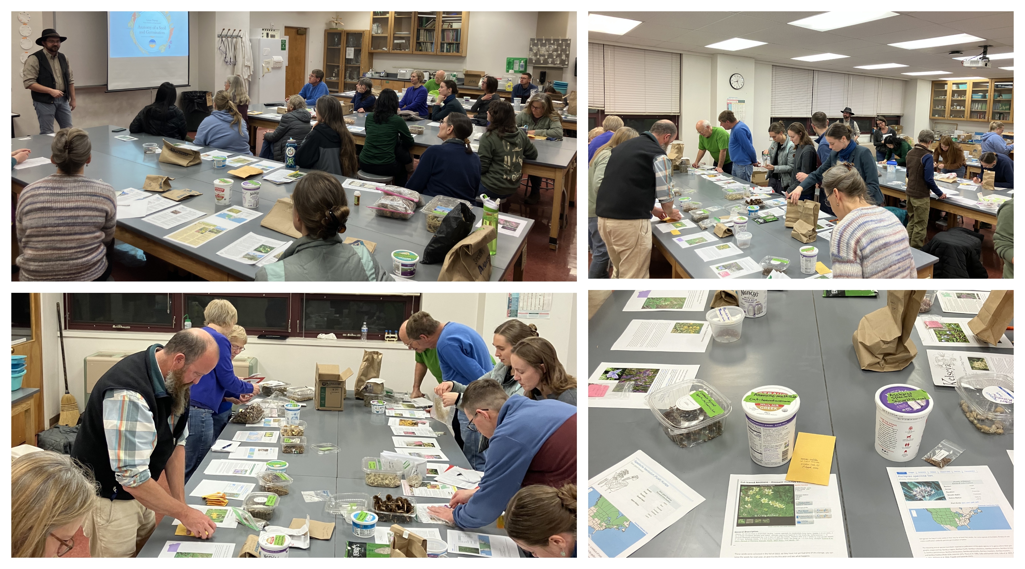 Collage of workshop participants