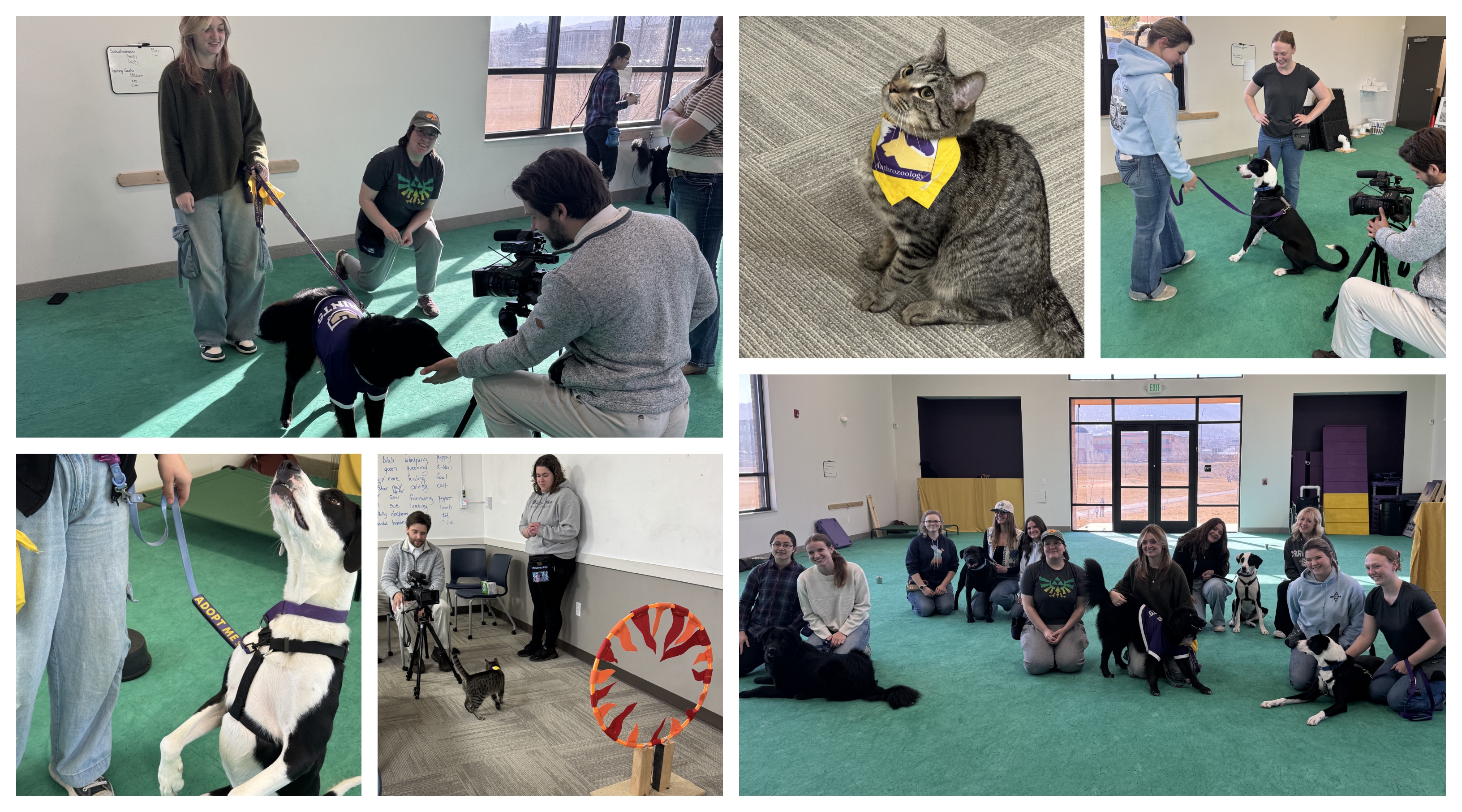 Photos of KTVH story on Speed date event