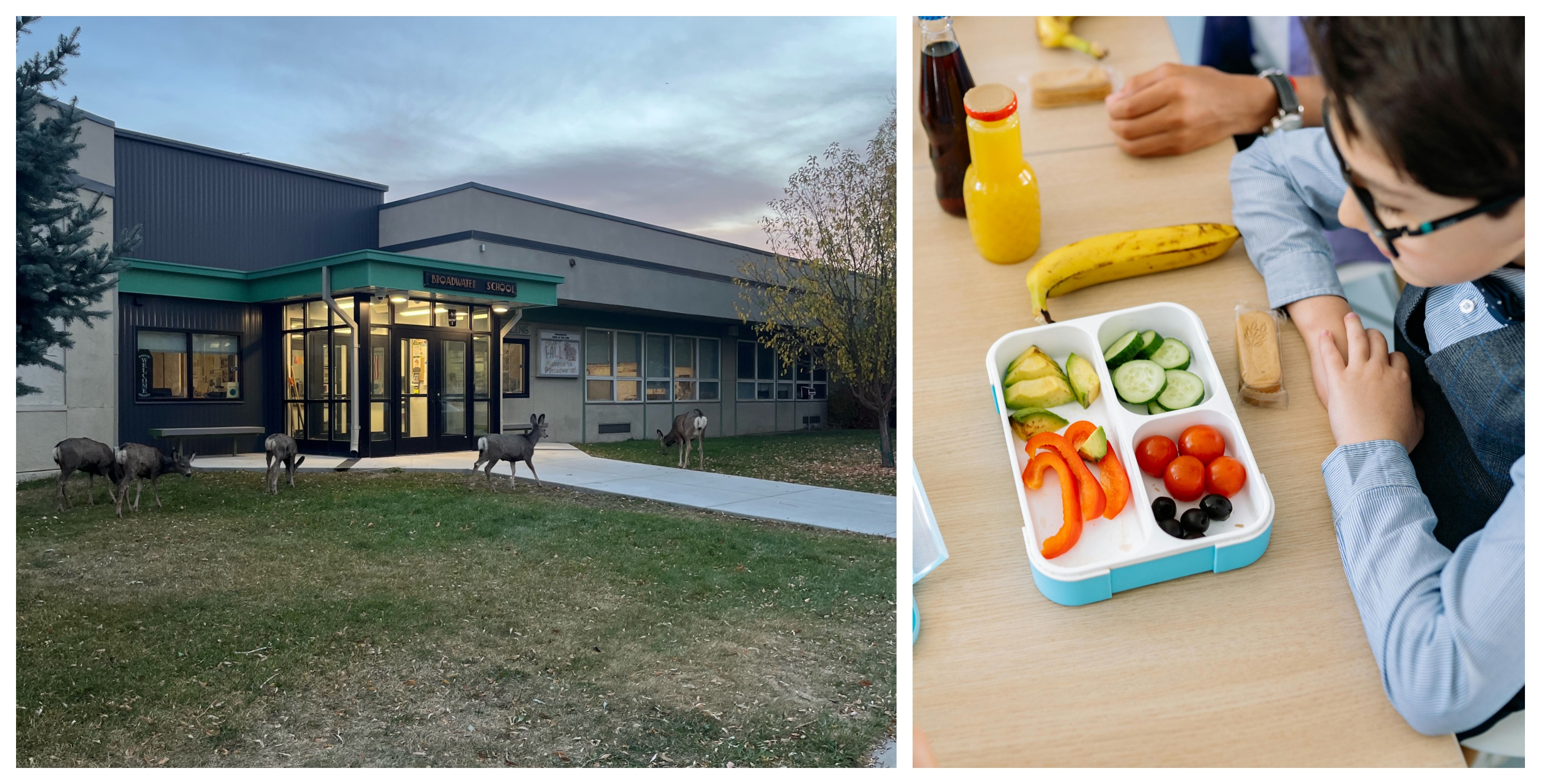 Photo of Broadwater Elementary