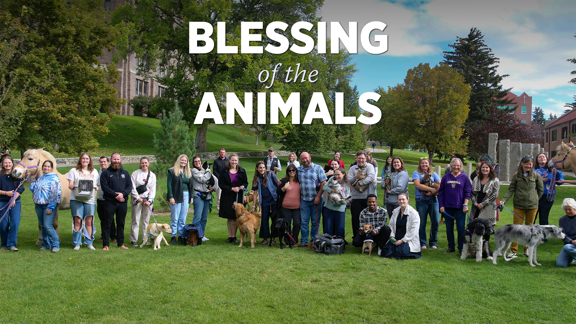 Blessing of the Animals