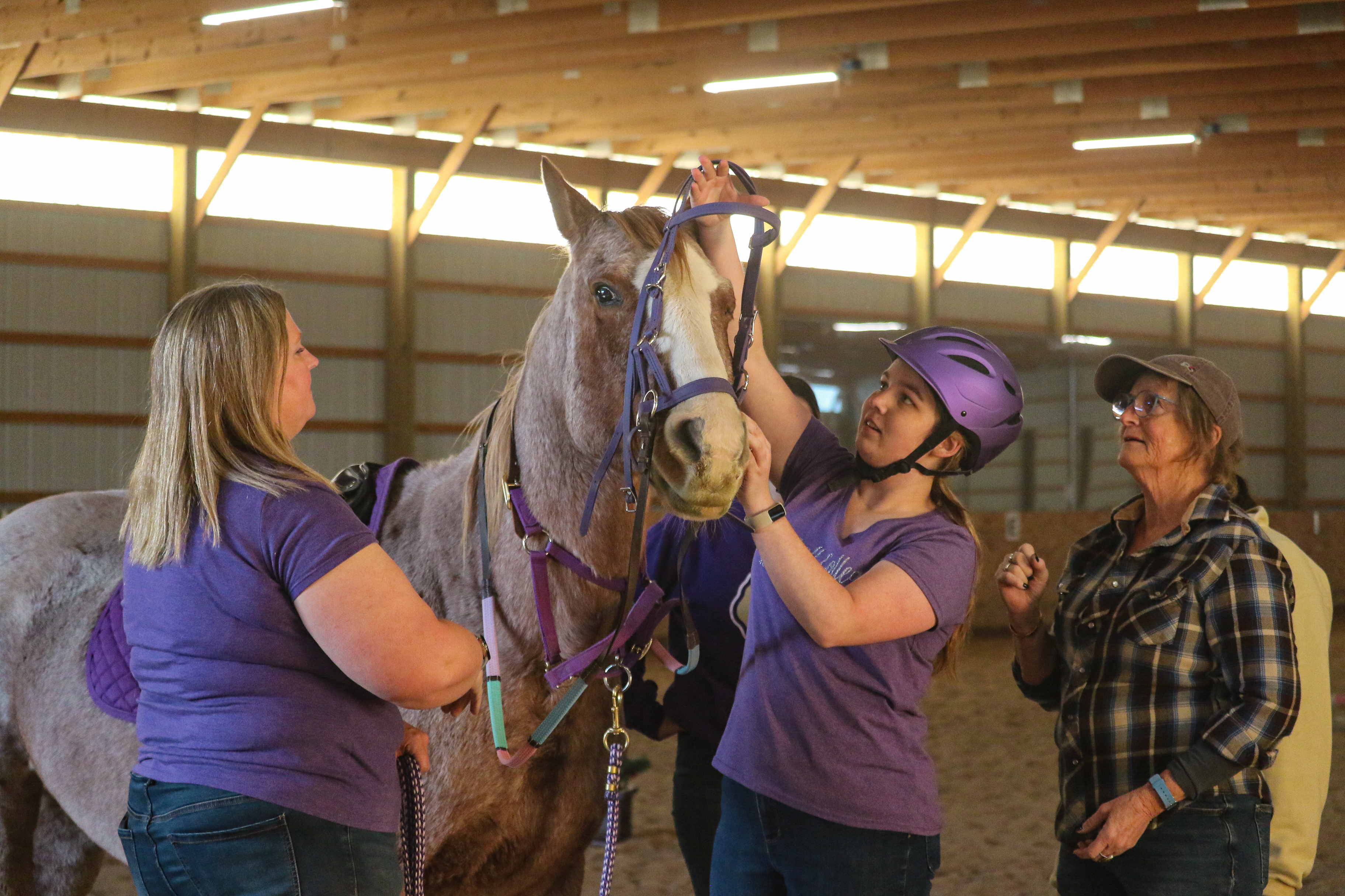 Carroll College Equine Center