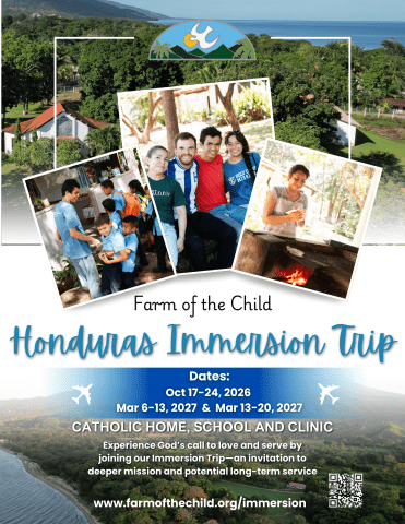 Farm of the Child Immersion trip options for 2026/27