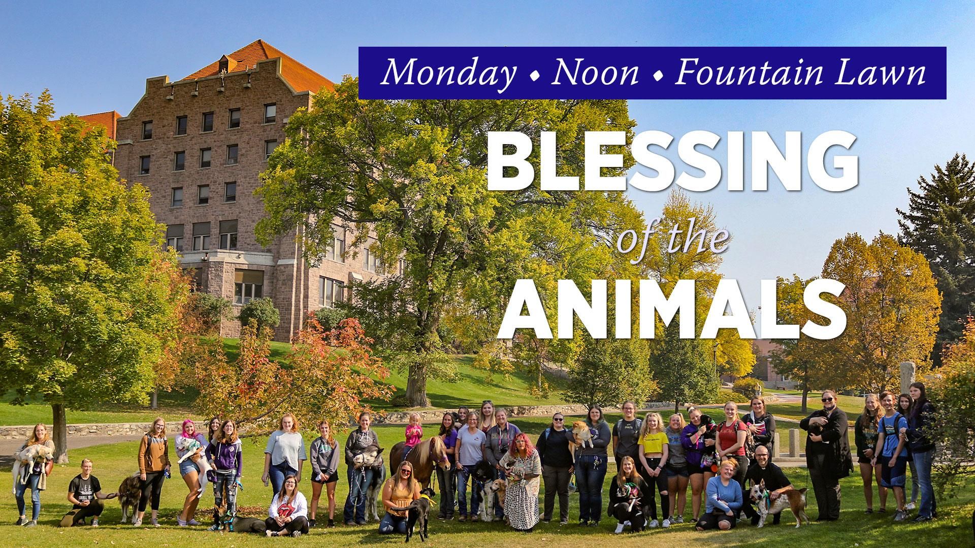 Blessing of the Animals graphic