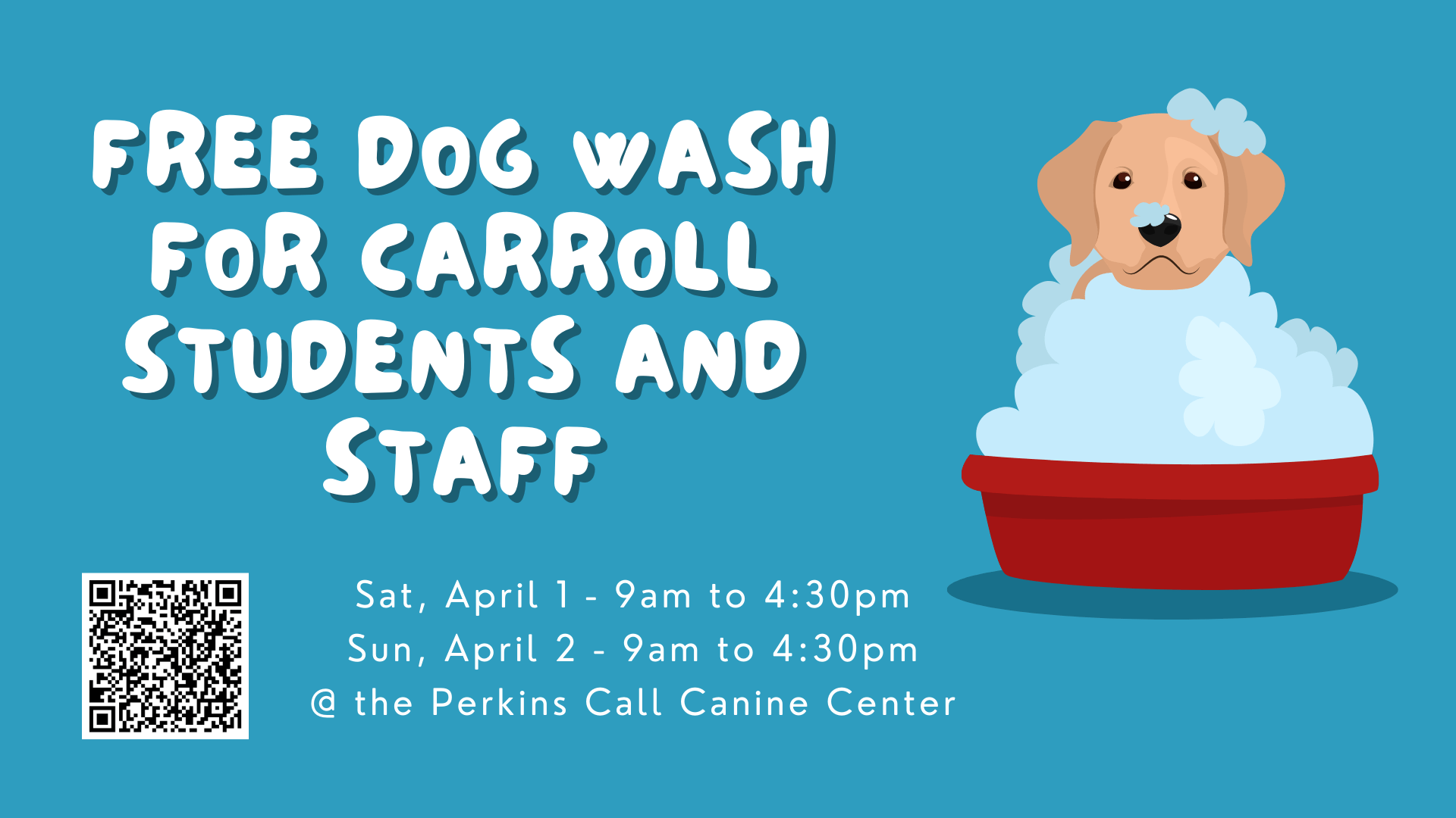 AZ Dog Wash Graphic