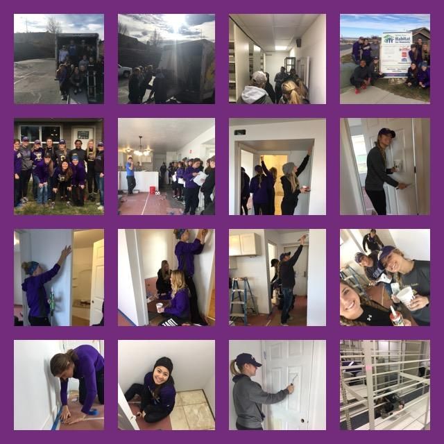 Image collage of students volunteering