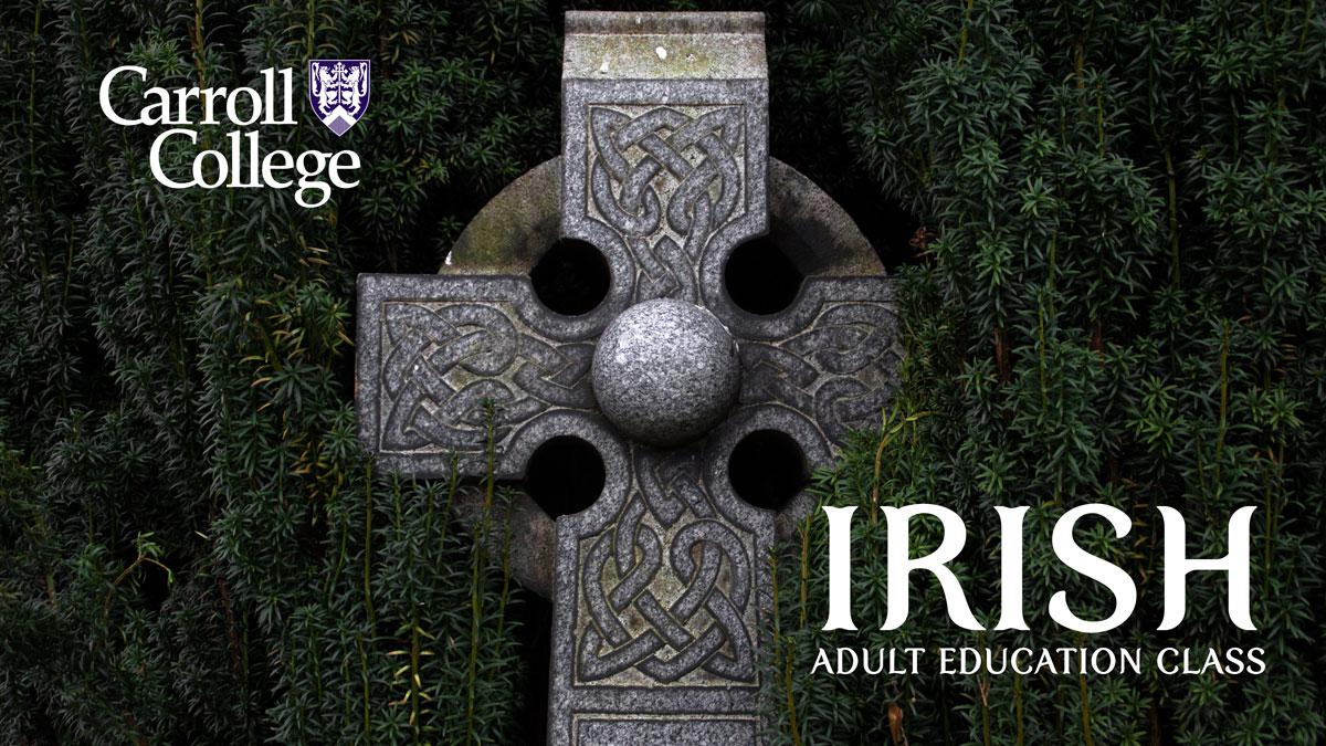 Adult Education Irish Language Courses graphic - Cross in Grass