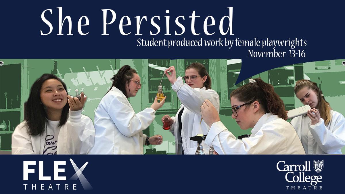 Graphic for She Persisted