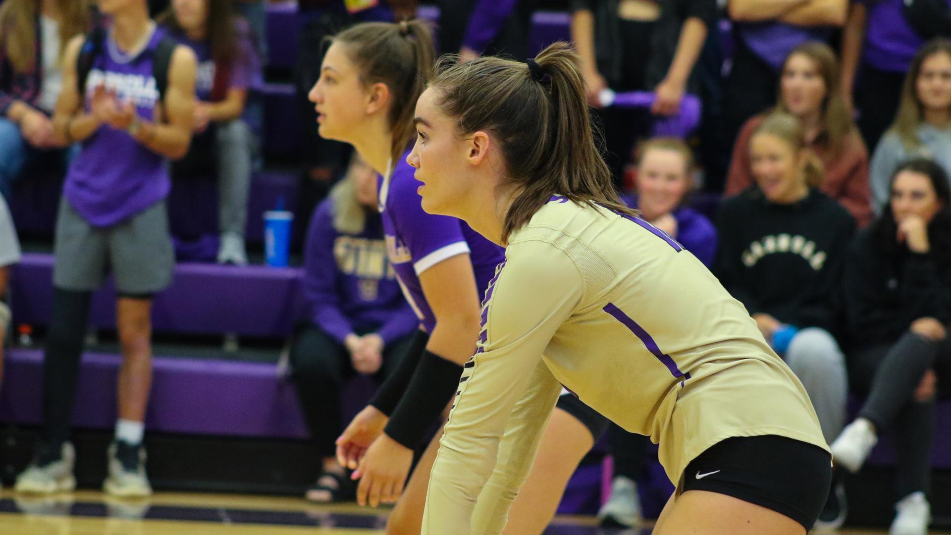 volleyball