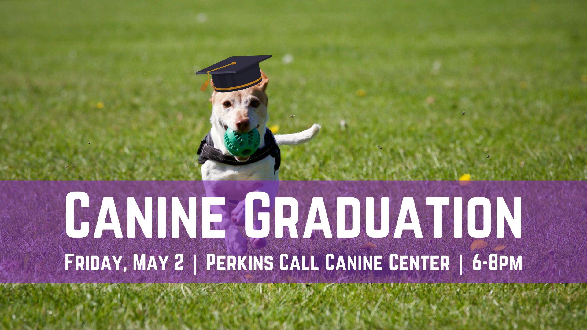 Canine Graduation2025