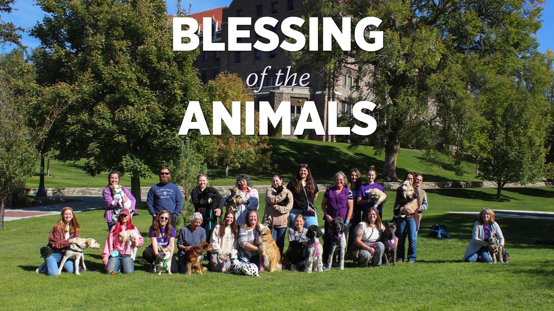 Blessing of the Animals
