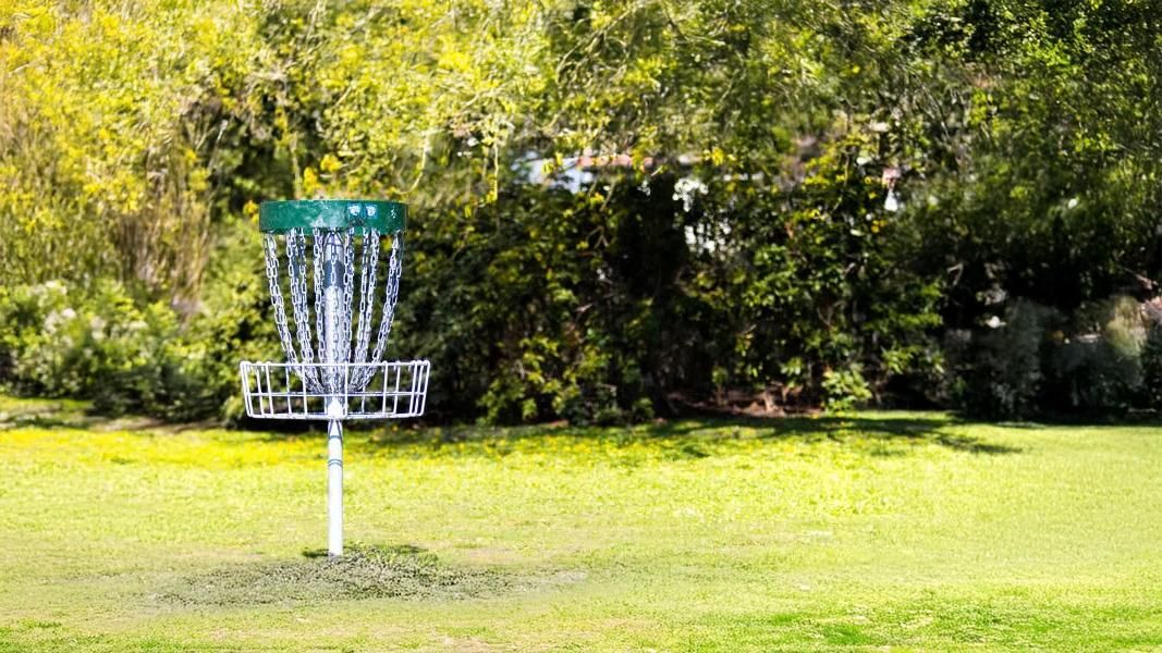 Frisbee Golf Basket