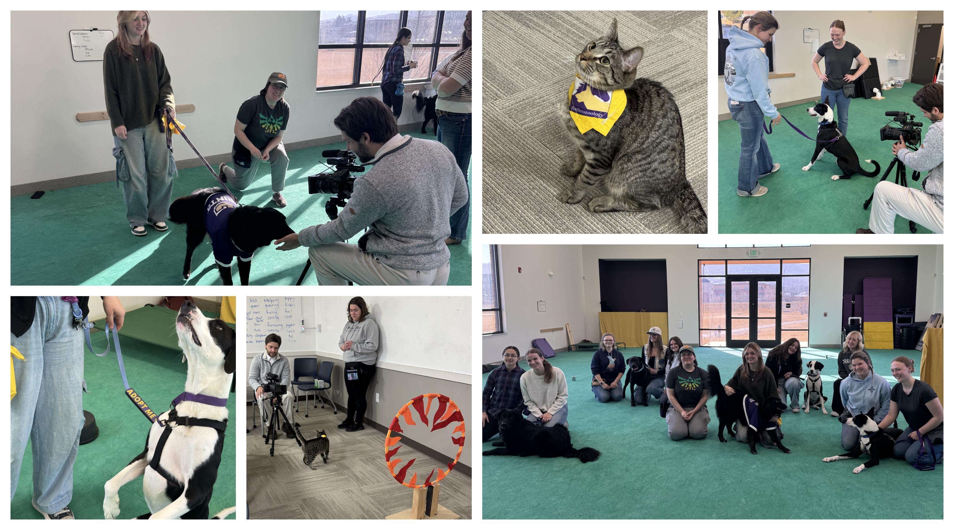 Photos of KTVH story on Speed date event