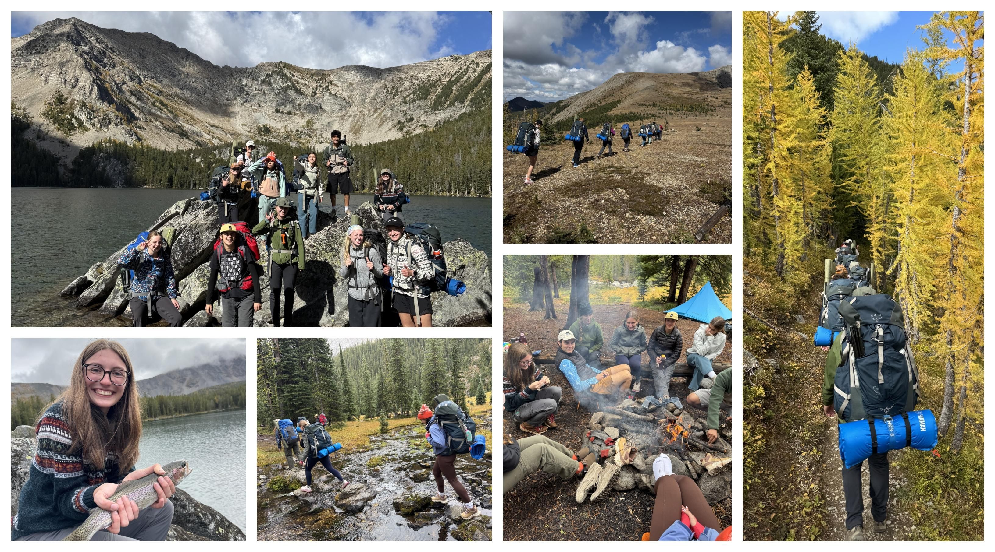 CAMP collage