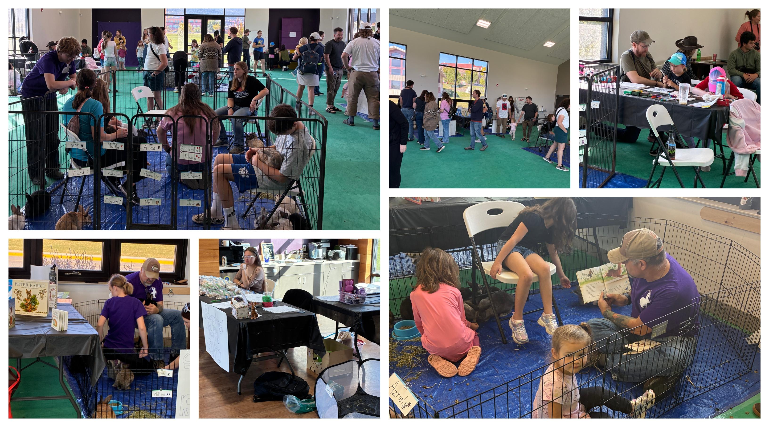 Photos from Rabbit Adoption event